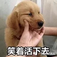 DƬ
